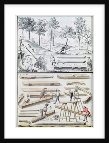 Ms 131k Different species of tree and sawing logs by Claude Masse