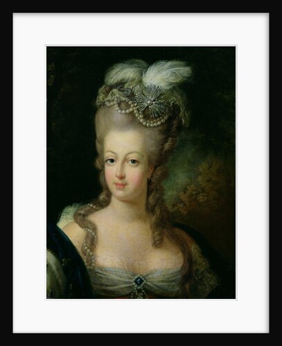 Portrait of Marie-Antoinette de Habsbourg-Lorraine by French School