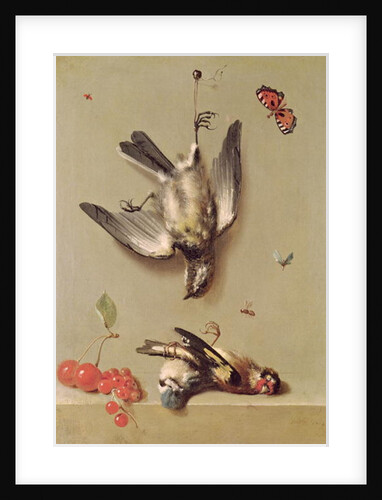 Still Life of Dead Birds and Cherries, 1712 by Jean-Baptiste Oudry