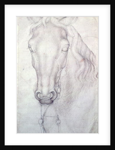 Head of a Horse by Antonio Pisanello