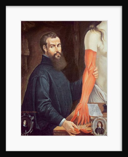 Andreas Vesalius by Pierre Poncet