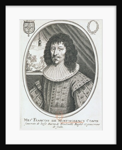 Portrait of Francois de Montmorency 1600-27 by French School