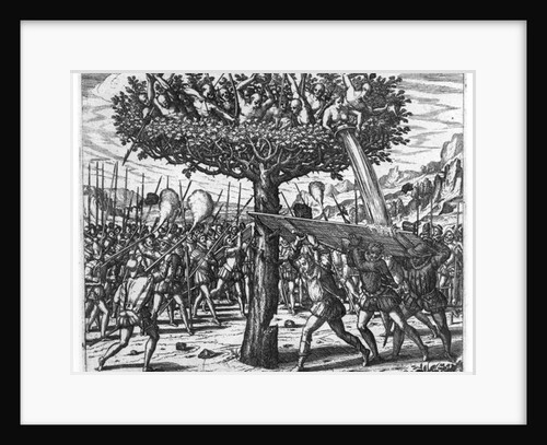 Indians in a Tree Hurling Projectiles at the Spanish by Theodor de Bry