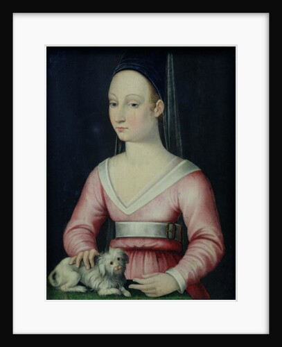 Portrait of Agnes Sorel by French School