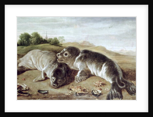 Two Young Seals on the Shore, c.1650 by Paul de Vos