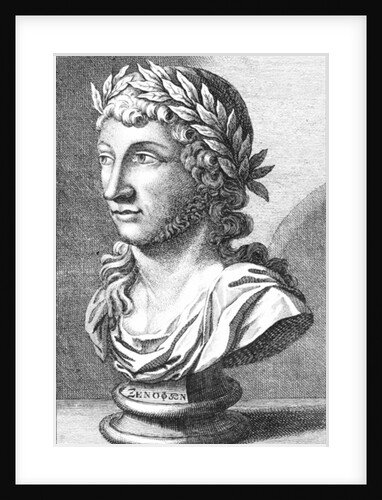 Bust of Xenophanes by French School