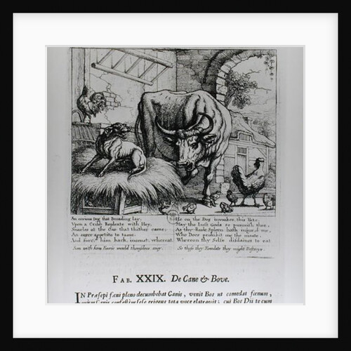 Illustration for 'The Dog and the Ox' by Francis Barlow