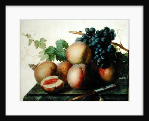 Still Life with Peaches and Grapes on Marble by Jan Frans van Dael