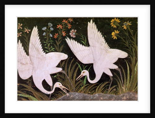 Two Cranes on the Edge of a Pond by Indian School