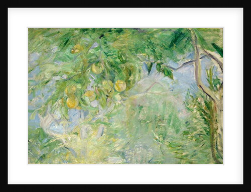 Orange Tree Branches, 1889 by Berthe Morisot