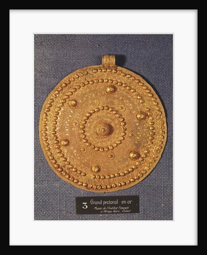 Pectoral by School African