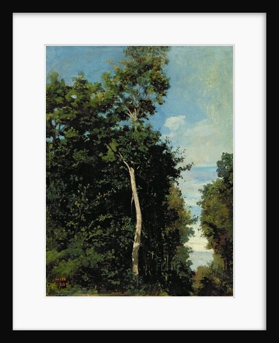 The Wood on the Cote de Grace in Honfleur by Jean Baptiste Camille Corot