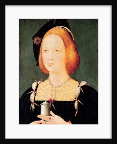 Portrait of Mary of England wife of Louis XII c.1514 by French School