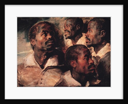 Studies of the Head of a Negro by Peter Paul Rubens