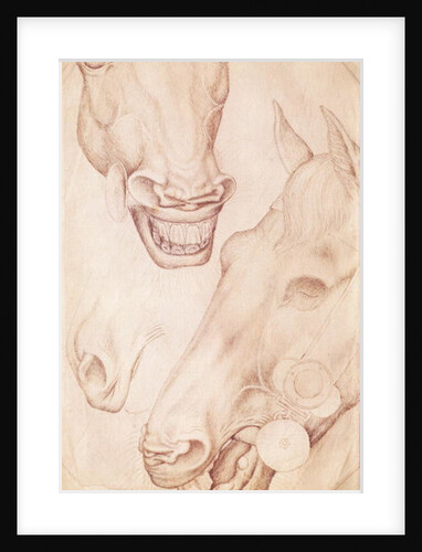 Heads of Horses by Antonio Pisanello