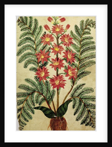 Fern with red and yellow flowers by French School