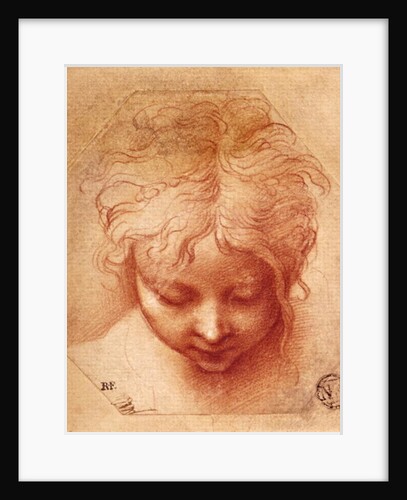 Study of a Head by Parmigianino