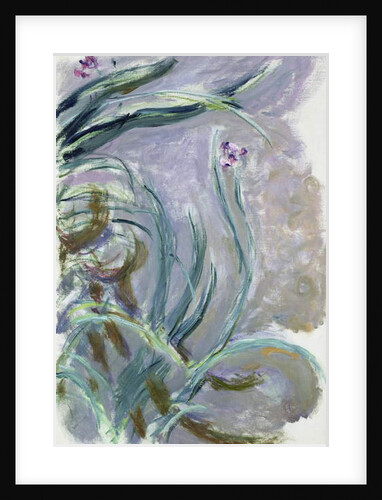 Iris, 1924-25 by Claude Monet