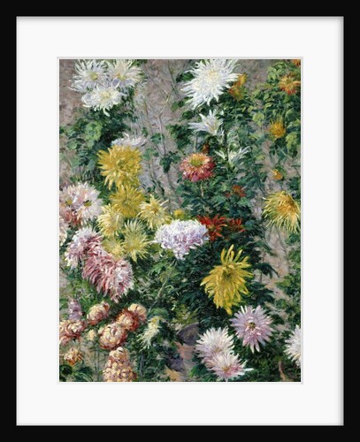 White and Yellow Chrysanthemums, 1893 by Gustave Caillebotte