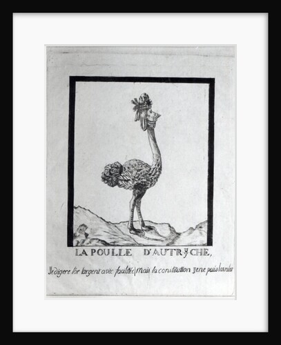 La Poulle d'Autriche by French School