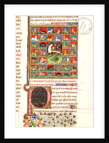 The Properties of Animals by French School