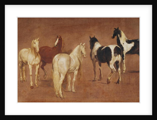 Study of Five Horses by Adam Frans van der Meulen
