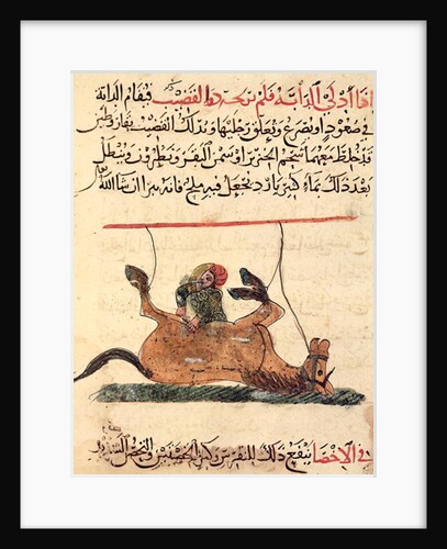 Operation on a horse by Islamic School