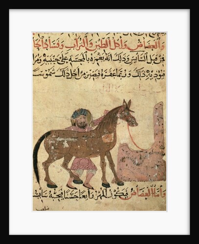 Caring for the horse by Islamic School