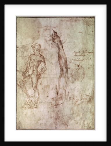 Study for David by Michelangelo Buonarroti