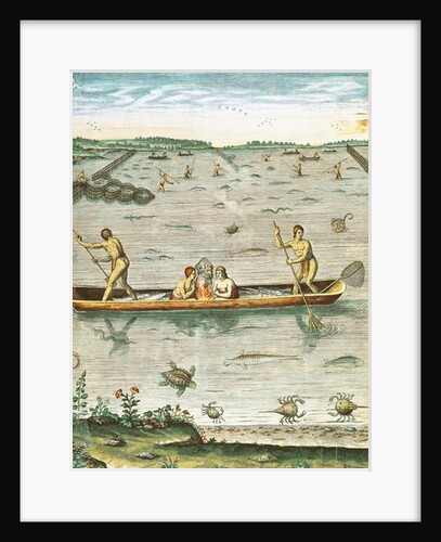 How the Indians Catch their Fish by John (after) White