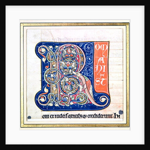 Historiated initial 'R' depicting an interlacing pattern with fantastical animals by French School