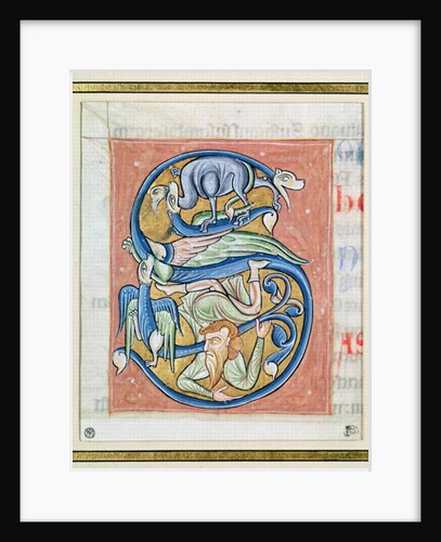 Historiated initial 'S' depicting an acrobat and fantastical animals by French School