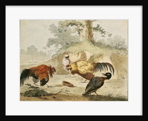 Cocks Fighting by Melchior de Hondecoeter