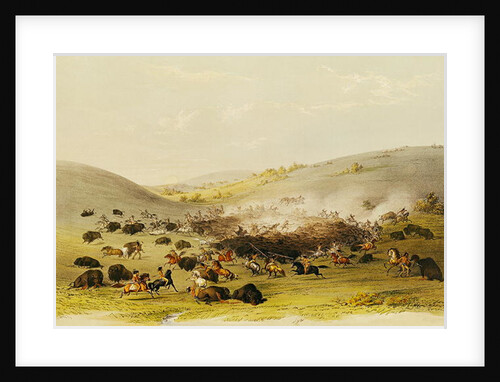 Buffalo Hunt, Surround, c.1832 by George Catlin