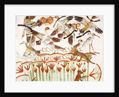 Fishing and fowling in the marshes, detail of the birds by Egyptian 18th Dynasty
