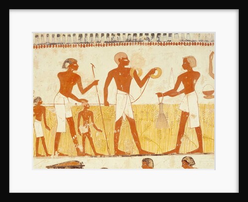 Measuring the land using rope by Egyptian 18th Dynasty