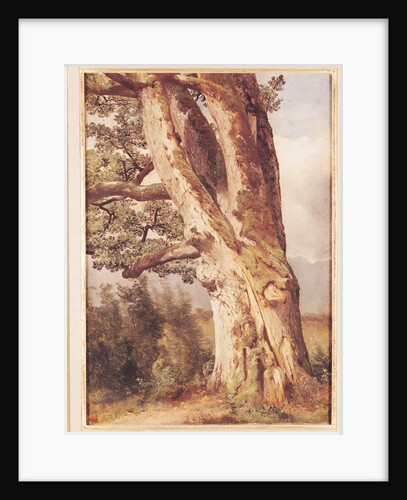 The Oak by Alexandre Calame