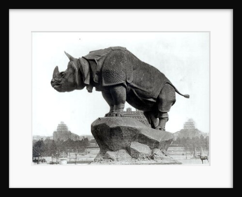 Rhinoceros, 1878 by Adolphe Giraudon