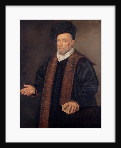 Portrait of a Doctor by Francesco Montemezzano