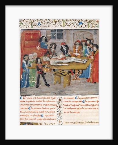 Dissection lesson at the Faculty of Medicine in Montpellier by French School