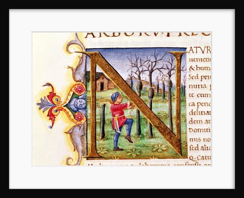 Historiated Initial 'N' depicting a man hewing trees, the 'Natural History' by Pliny the Elder by Italian School
