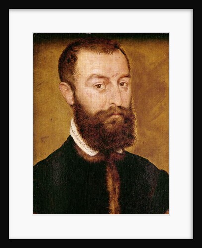 Portrait of a Man with a Beard or, Portrait of a Man with Brown Hair by Corneille de Lyon