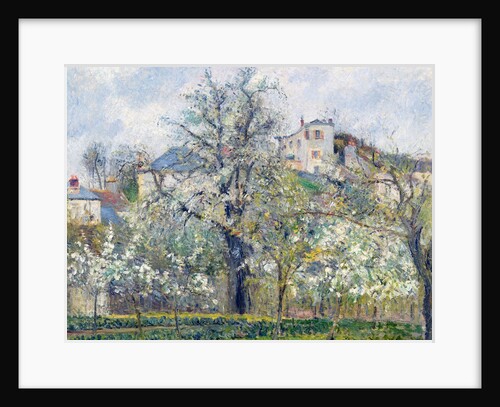 The Vegetable Garden with Trees in Blossom, Spring, Pontoise, 1877 by Camille Pissarro