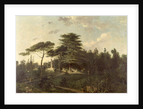 The Cedar of Lebanon in the Jardin des Plantes by Jean-Pierre Houel