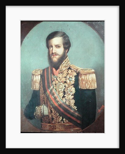 Pedro II Emperor of Brazil by Luis de Miranda Pereira Visconde de Menezes