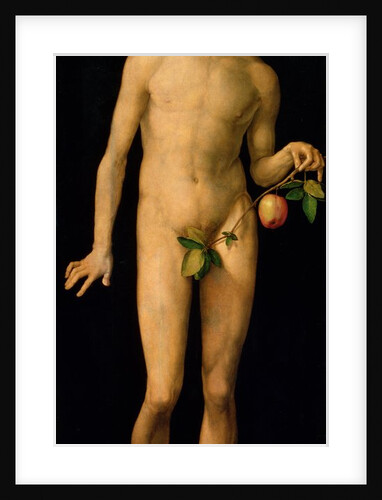 Adam, 1507 by Albrecht Dürer or Duerer