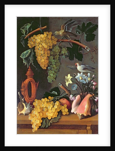 Still Life with Grapes, Birds, Flowers and Shells by Juan de Espinosa
