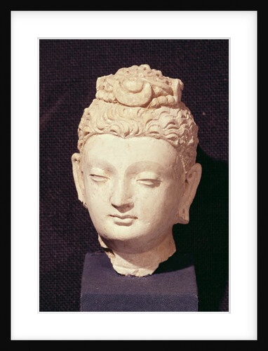 Head of a Buddha, Greco-Buddhist style, from Hadda by Afghan School