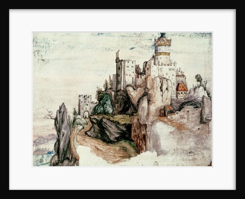 Fortified Castle by Albrecht Durer or Duerer
