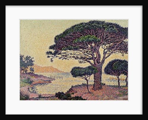 Umbrella Pines at Caroubiers, 1898 by Paul Signac